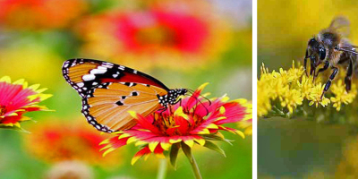 怎麼跟她說呢？ （外三首）