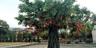 那棵許願樹（外兩題）