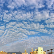 我愛夏日長（外五首）