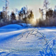 米家路〈望雪〉賞析