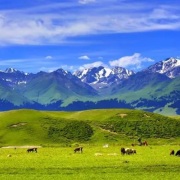 新疆（外一首）