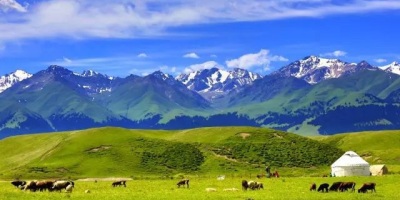 新疆（外一首）