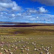 這個初冬、藏北．格仁措