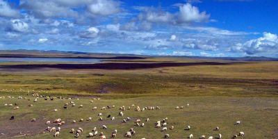 這個初冬、藏北．格仁措