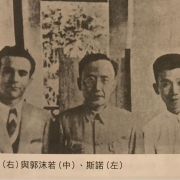 奮戰在抗日硝煙中的郁達夫