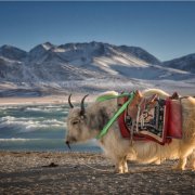 卷首語：停頓的瞬間已在面前駐足千年