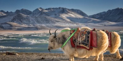 卷首語：停頓的瞬間已在面前駐足千年