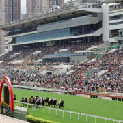香港賽馬場（外一首）