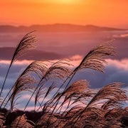 淘寶、假日山行等新詩十七首