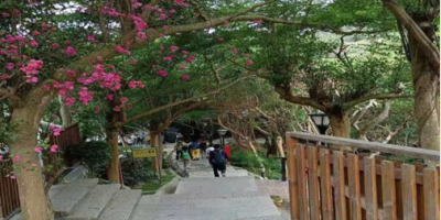 踏石逐岸抱團行（外一首）