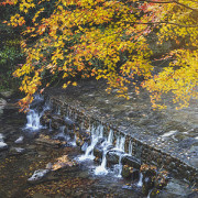 譚福基詩詞選輯二十五首