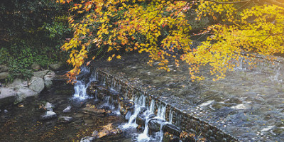 譚福基詩詞選輯二十五首