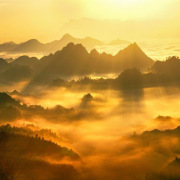 作聯：銀光中，步向金光之道