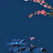 朋友就是鏡花水月中的自己