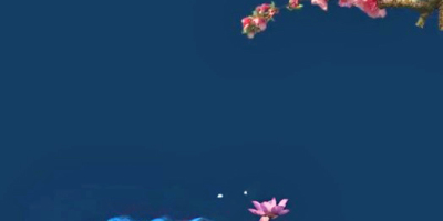 朋友就是鏡花水月中的自己