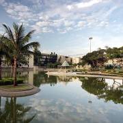 桂下見蟬蛻有感（外五首）