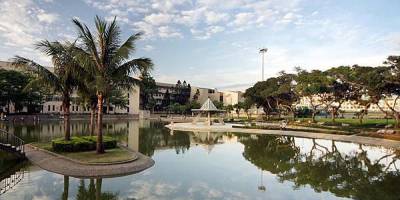 桂下見蟬蛻有感（外五首）