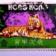 跑遍港九新界的壹角錢老虎