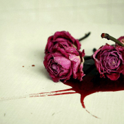 微型小說：三闋情曲