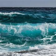 我是大海的女兒