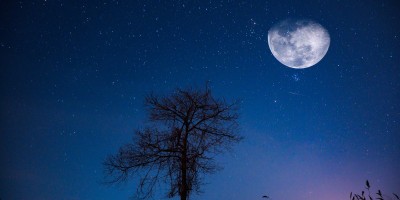 寫在香港第五波疫爆時