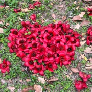 宇宙的十六分三十秒