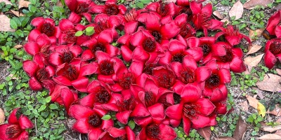 宇宙的十六分三十秒