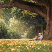 小孩和大樹（兒童詩）