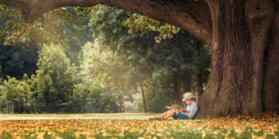 小孩和大樹（兒童詩）