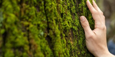 編後語：詩意的心靈之旅