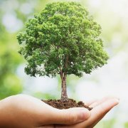 卷首語：充滿探索精神的奇思異想