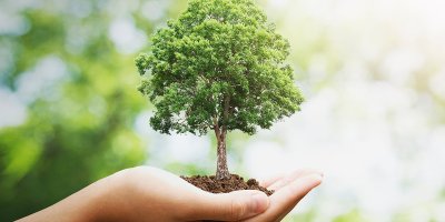 卷首語：充滿探索精神的奇思異想