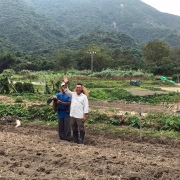 泥土的思念：親吻大地的你