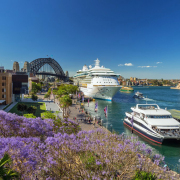 靚麗乎？沉思乎──讀胡少璋先生散文《「美笑」兮，「美哭」？》