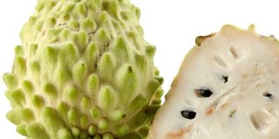 番鬼荔枝（外四首）