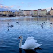 伏爾塔瓦流流淌淌