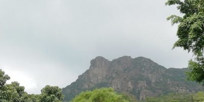 大地詩情、登獅子山二首