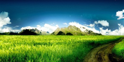 立夏（外一首）