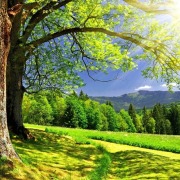 腳踏大地才知安然無價（外一首）