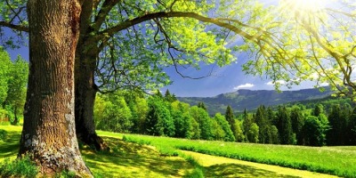 腳踏大地才知安然無價（外一首）