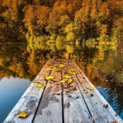 四十感賦（外二首）