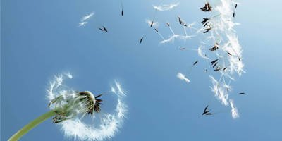 風是男孩還是女孩