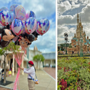 氹氹轉菊花園炒米餅去樂園
