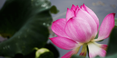 賦別吳教授相洲先生（外三首）