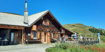 刻在基因裏的鄉愁