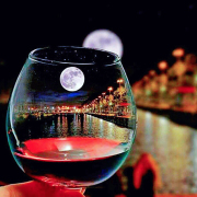 何日舉杯共對月