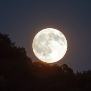 騎著黑駿馬的月亮