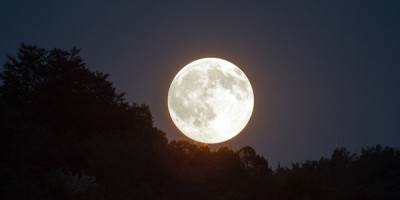 騎著黑駿馬的月亮