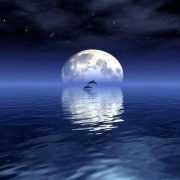 第二故鄉明月歌