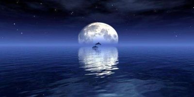 第二故鄉明月歌